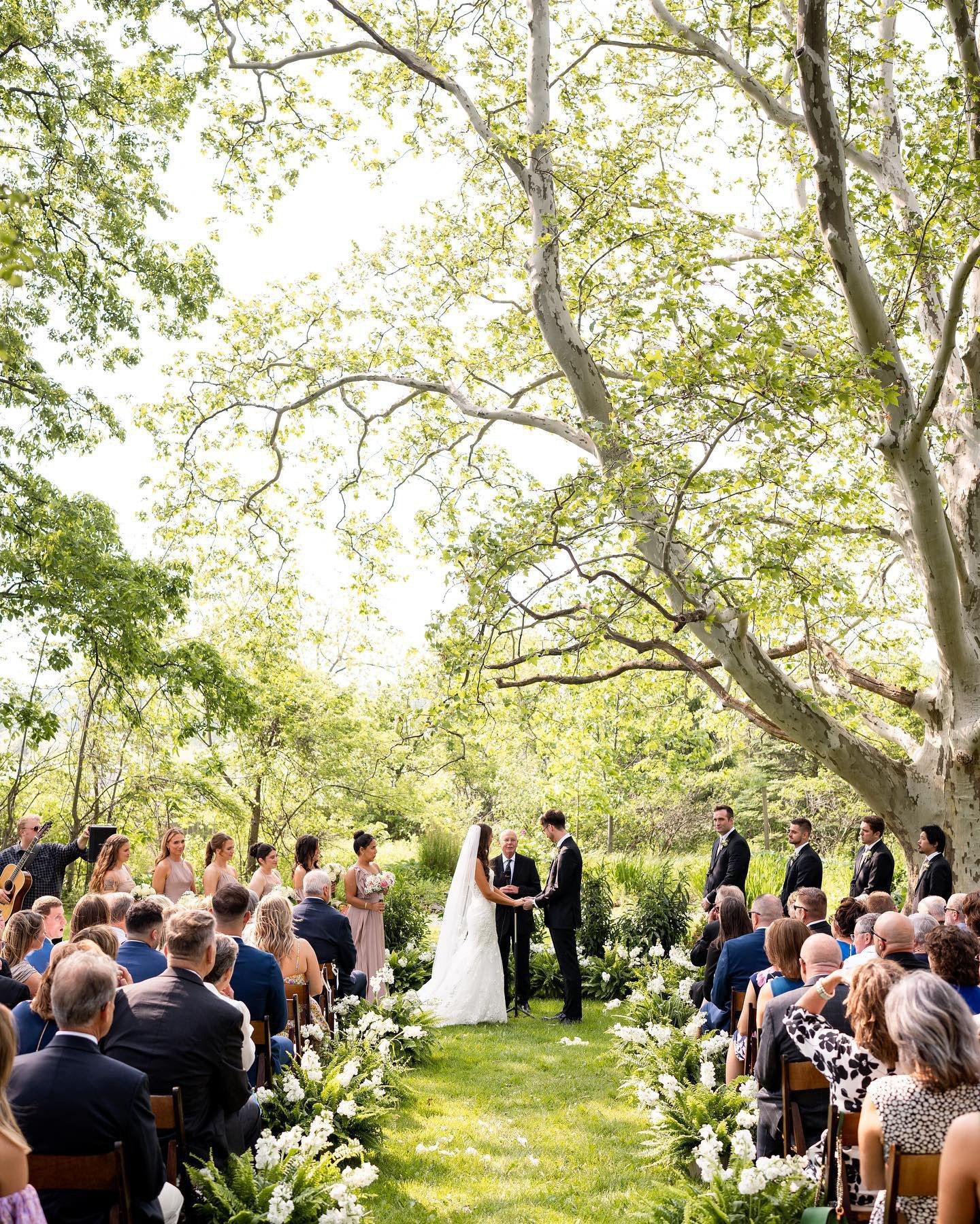 Bride and groom exchanging vows in a garden. Guests seated on either side.