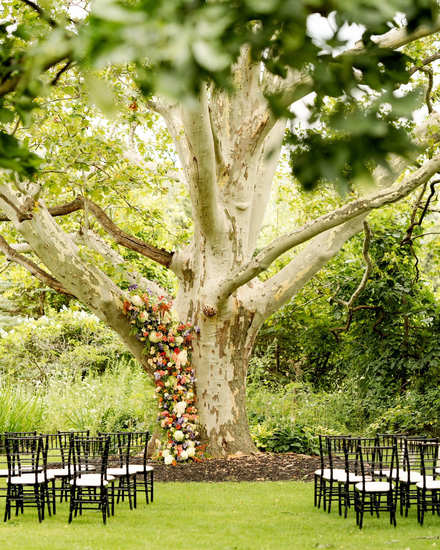 Outdoor wedding setup with chairs and floral decor