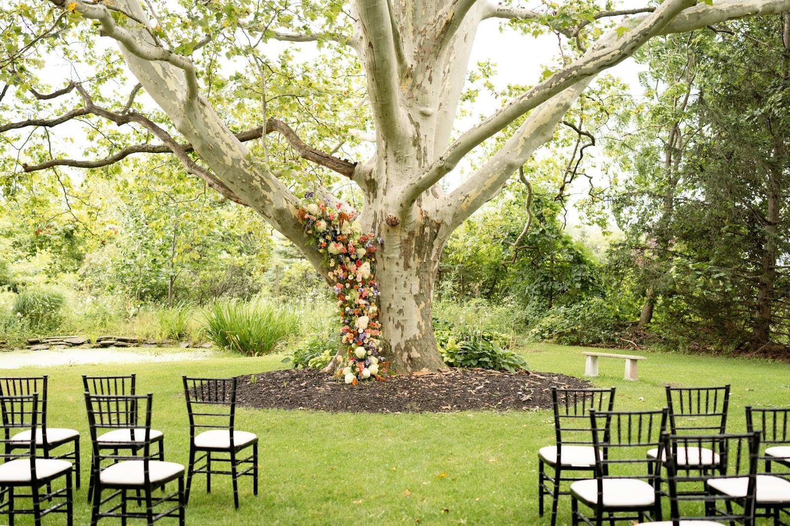 wedding setup outdoors