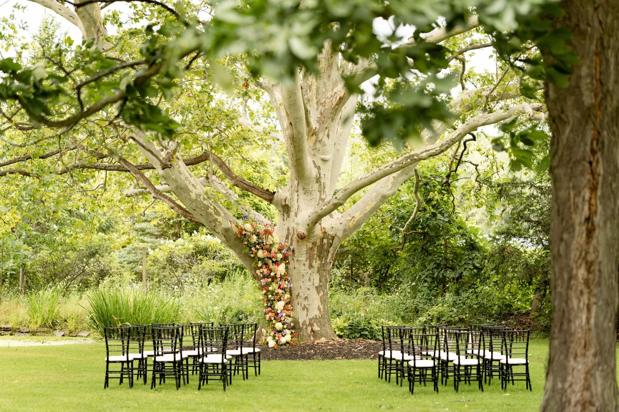 Outdoor wedding ceremony setup with chairs under a tree