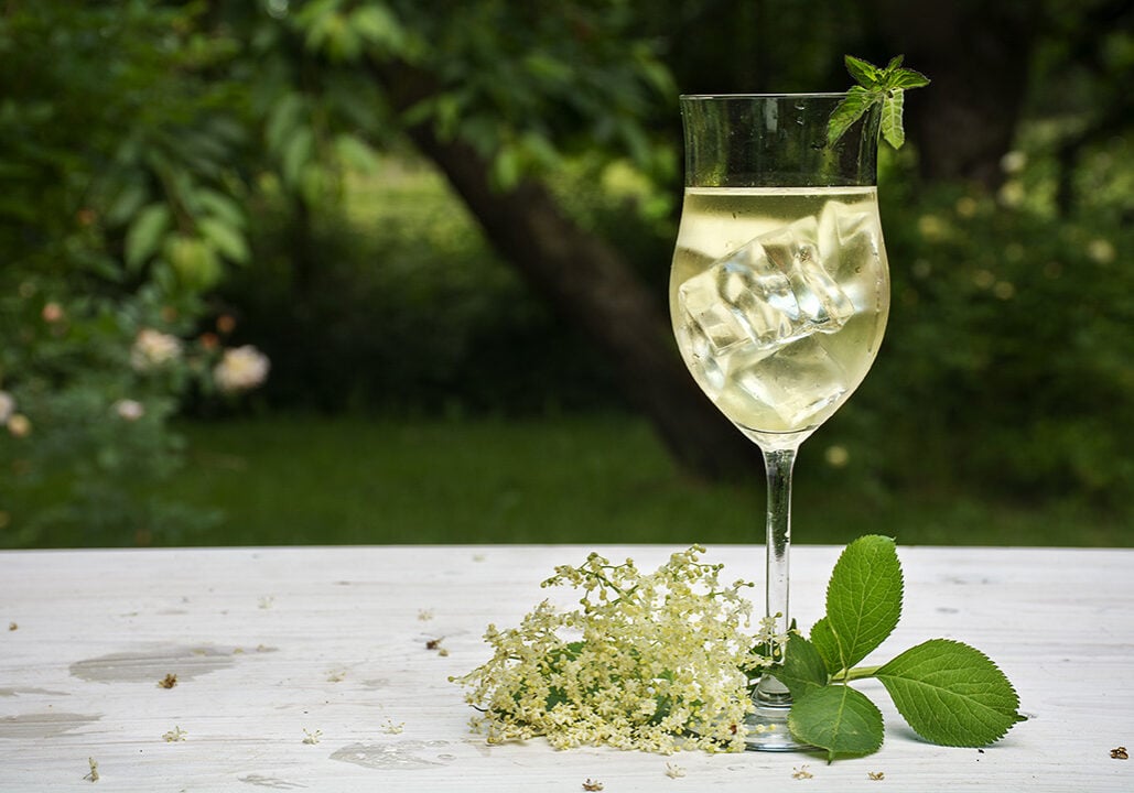 A glass of white wine with ice and mint, next to flowers.